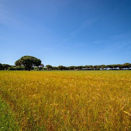 Agriturismo Bio Femminella Principina a Mare Esterno foto