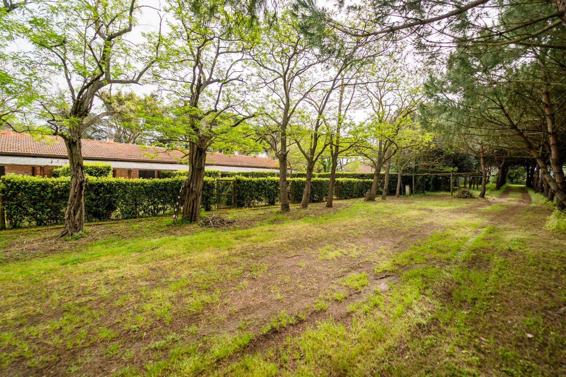 Agriturismo Bio Femminella Principina a Mare Esterno foto