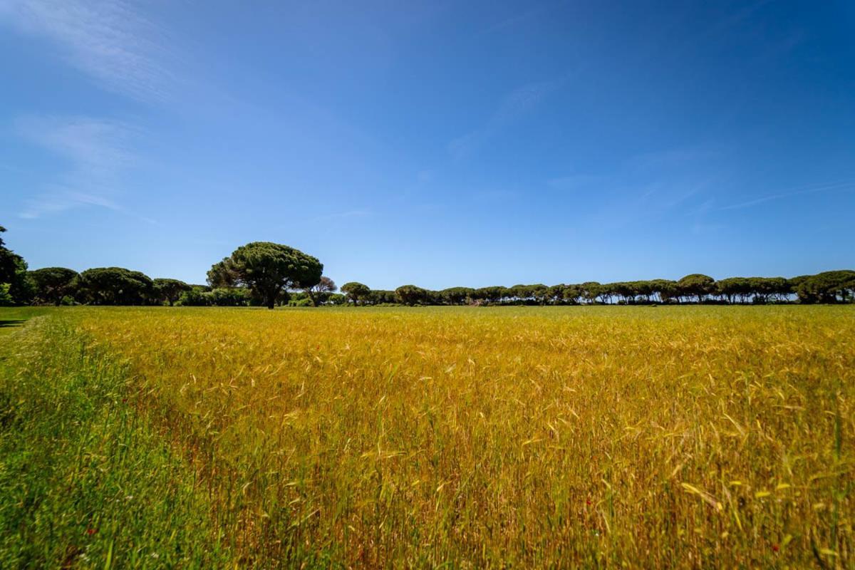 Agriturismo Bio Femminella Principina a Mare Esterno foto